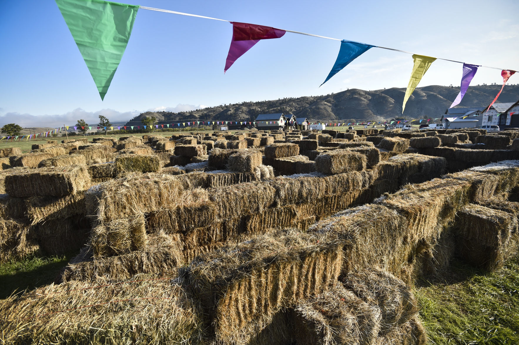 hay maze